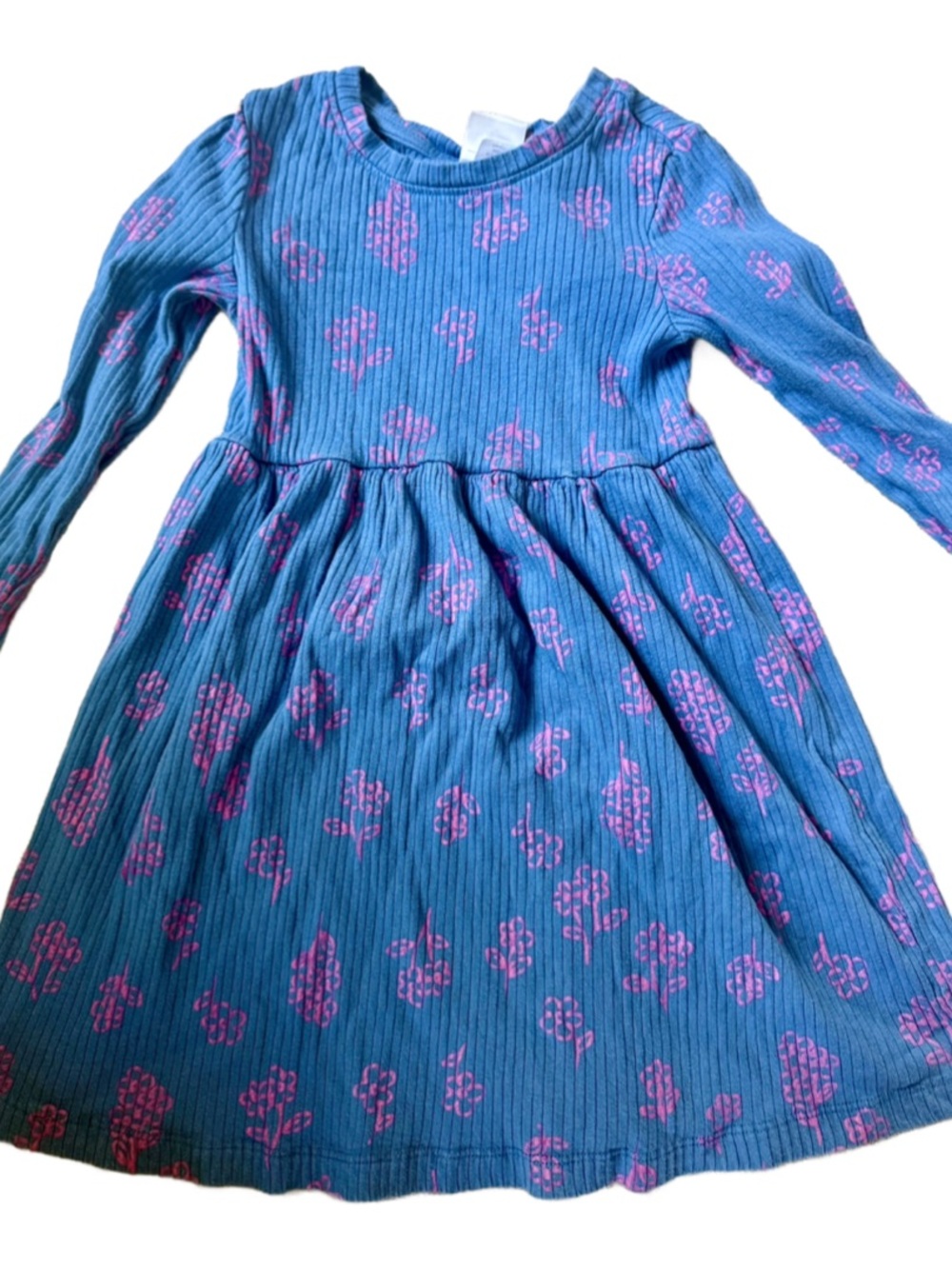 Hanna Andersson Blue Dress with Pink Floral Pattern
